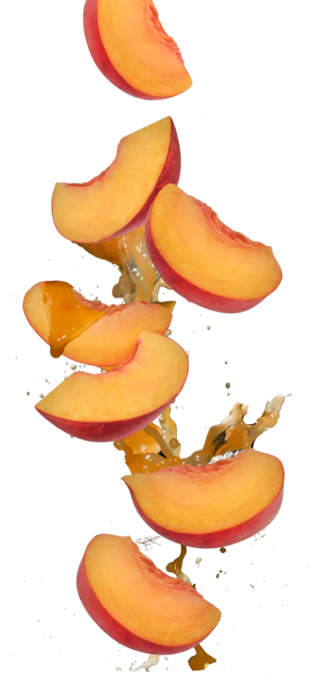 persica.webp