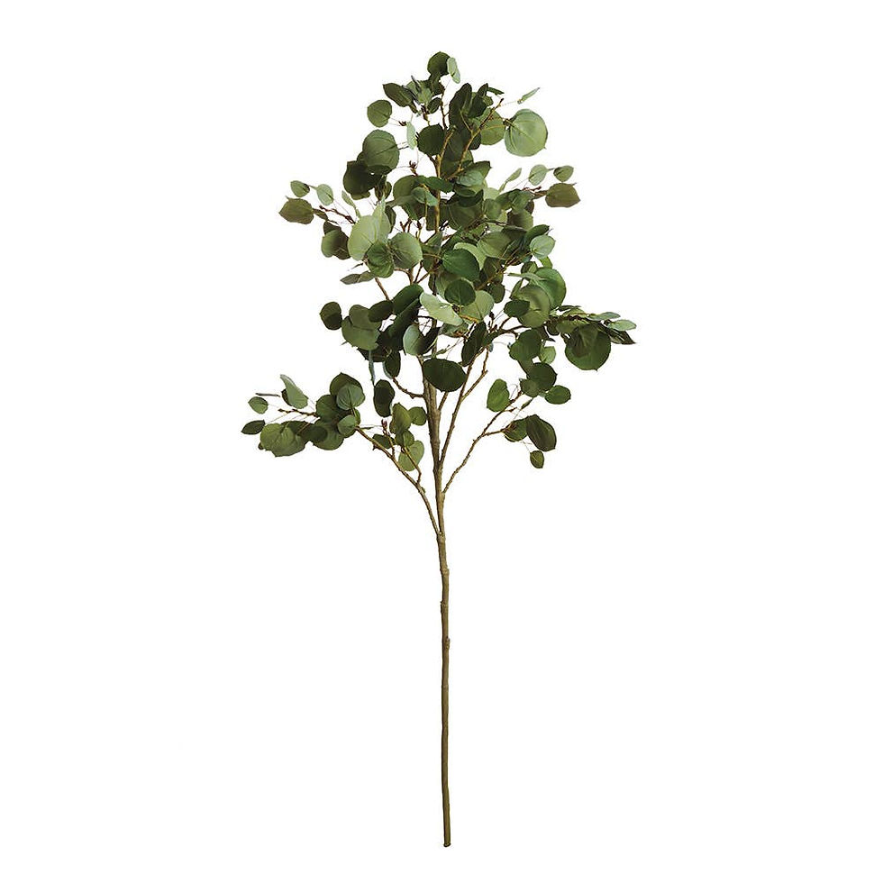 Aspen Branch 51"