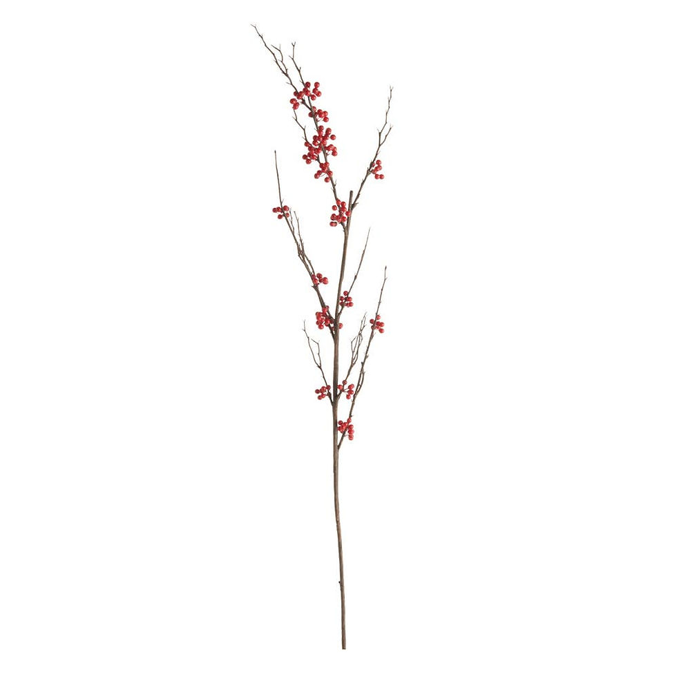 Ilex Berry Branch Red
