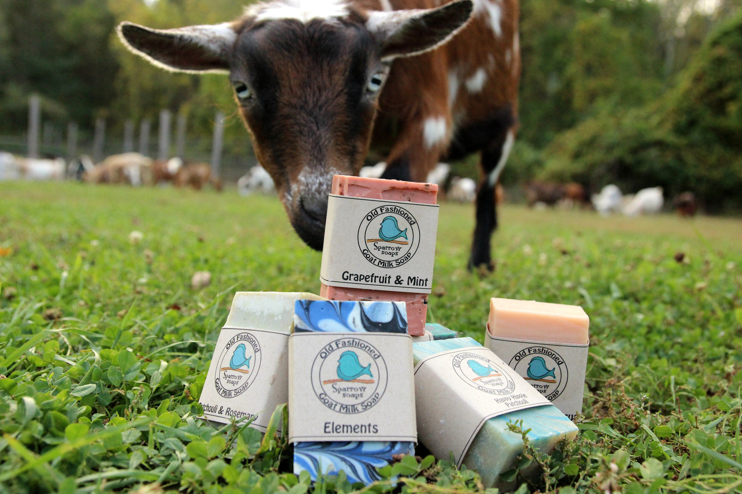 Goat Soap Bundle {3 for $18}
