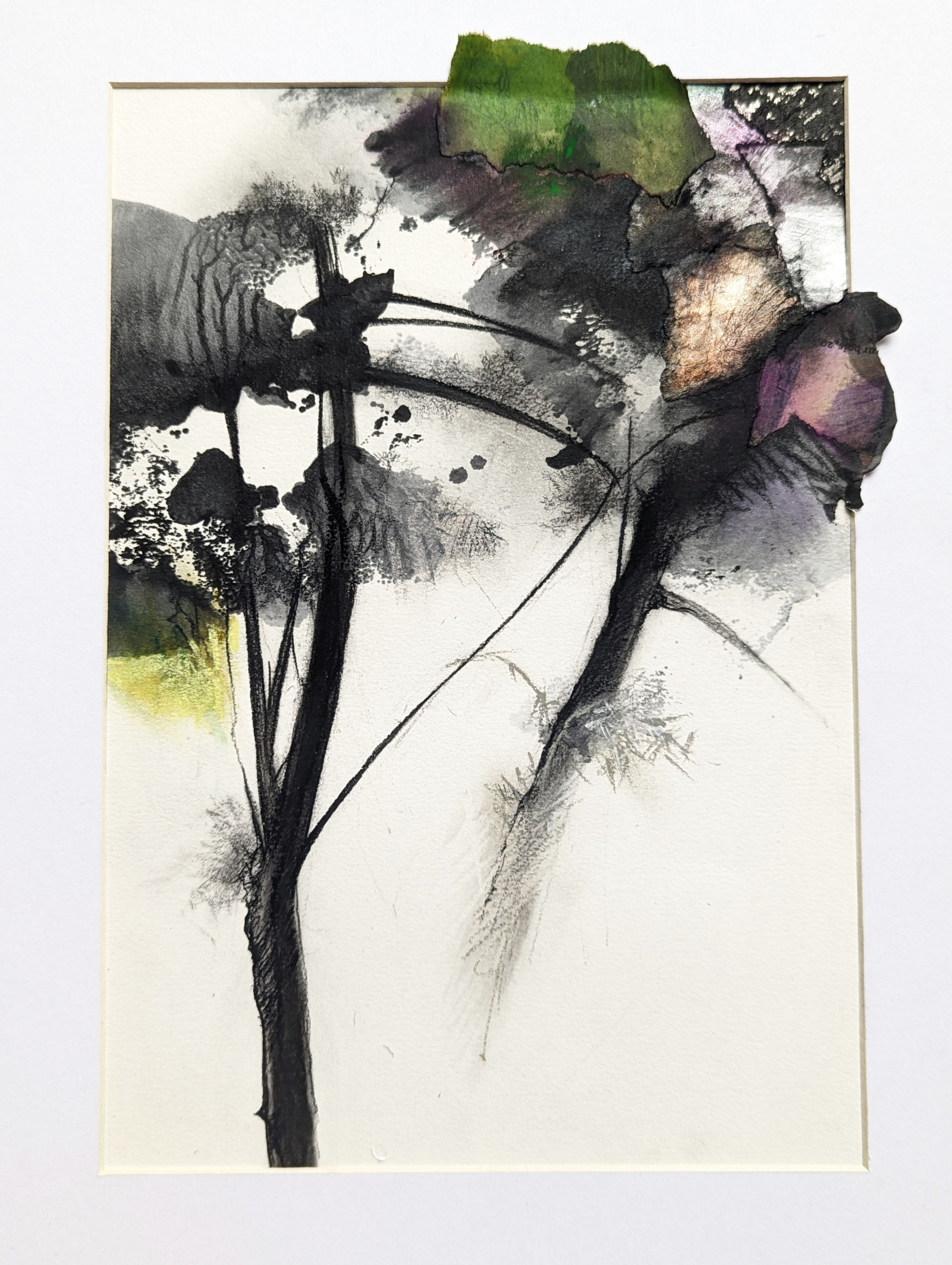 Pierre Colin, Pins Maritimes #18