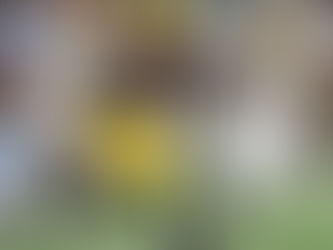 2015 Quick Lane Bowl: Chips Scare Gophers at Ford Field