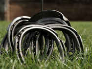 Horseshoes
