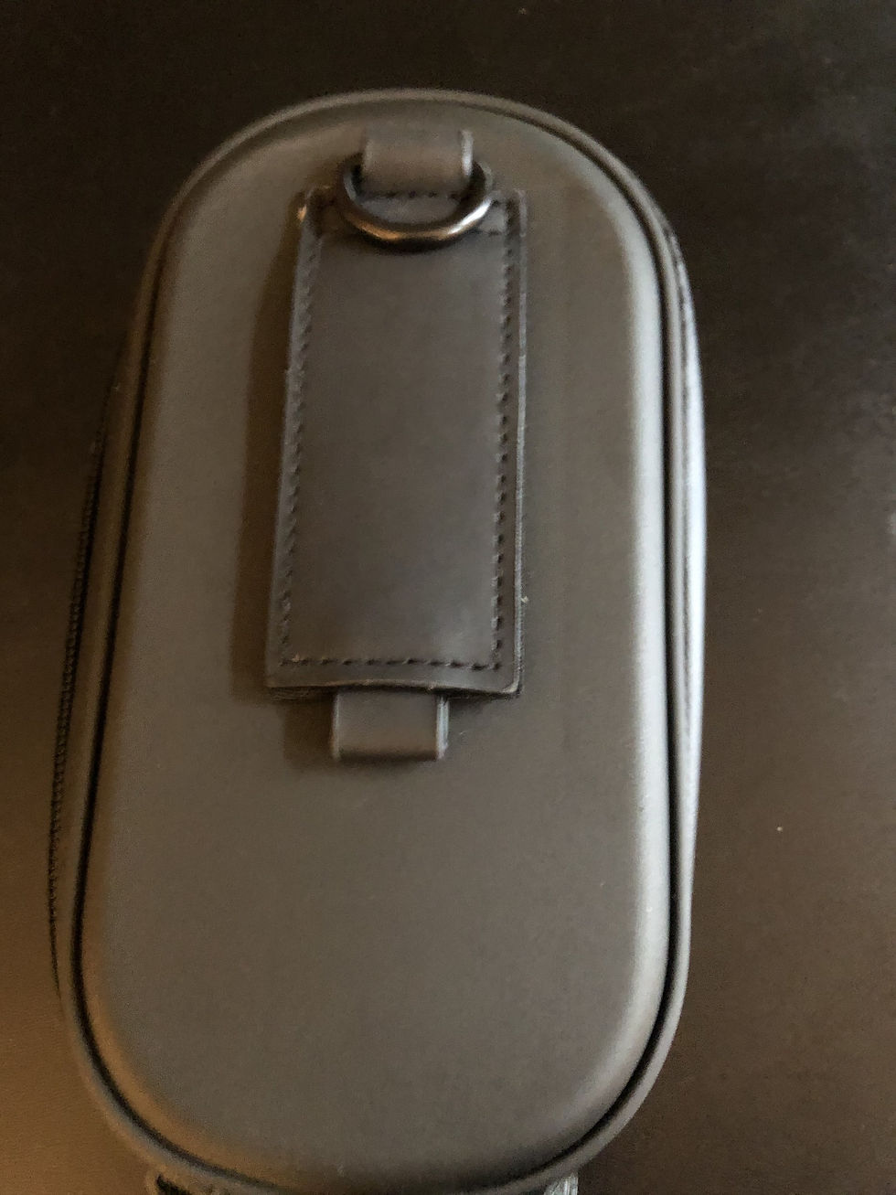 Thumbnail: Chromatic Harmonica Belt Case