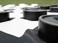 Giant Draughts