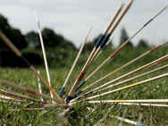 Giant Pick up Sticks