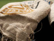 Sack Races
