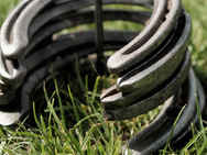 Horseshoes