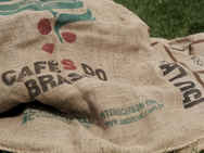 Sack Races
