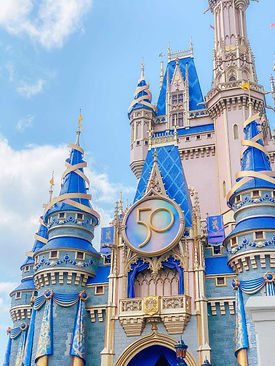 disney castle.jpeg