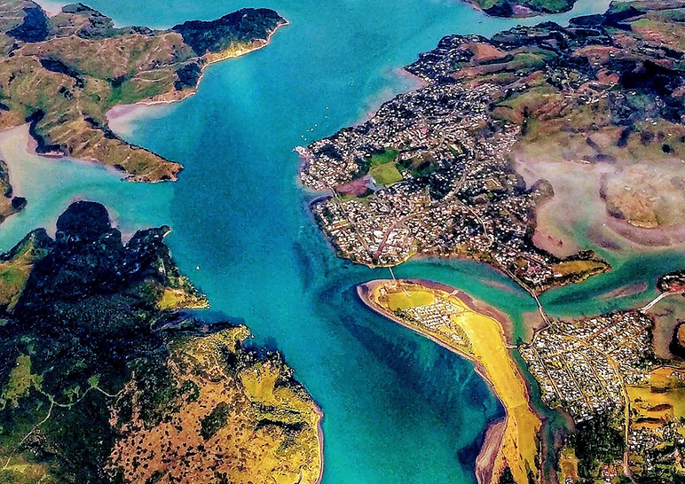 Dark Teal Minimalist Modern Nature Magazine Cover (2).png