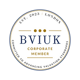 BVIUK (6) 1.png