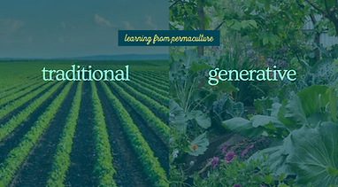 Generative Leadership