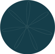 identity-hover.png