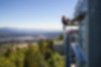 iStock-1136870899.jpg