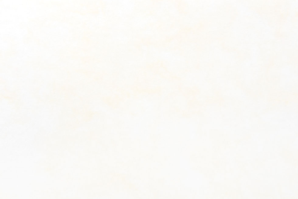 バック素材?_edited.jpg