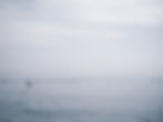 Foto MEE(H)R © Anne-Louise Frei