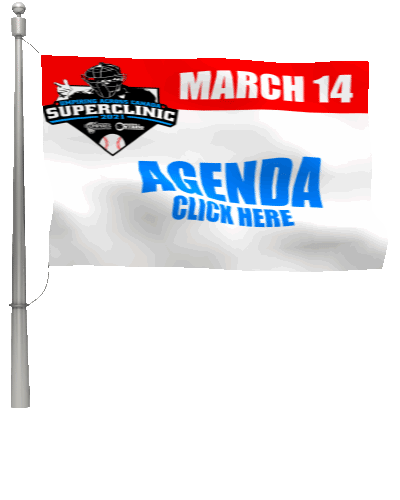 custom_flag_on_pole_21111 (9).gif