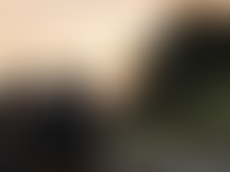 A DAY IN THE LIFE OF A FIELD RESEARCH ASSISTANT