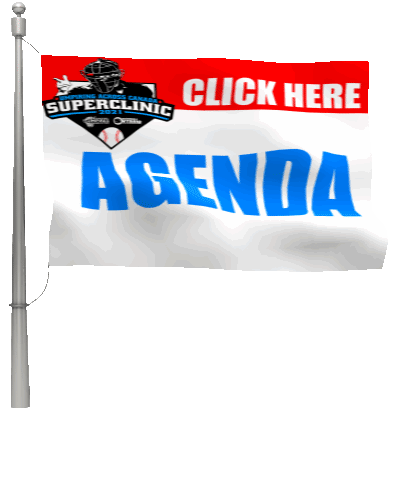 custom_flag_on_pole_21111.gif
