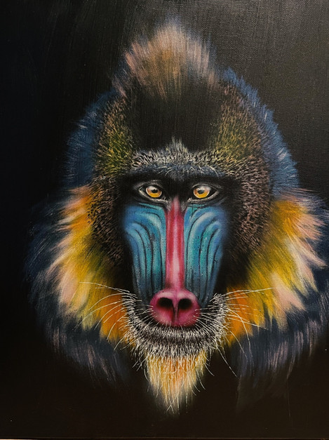 Le mandrill