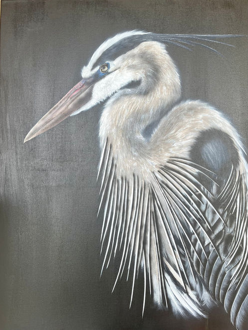 Série des oiseaux 