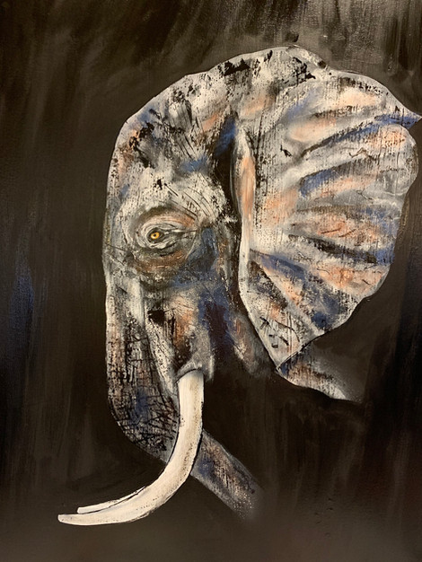 Éléphant dark