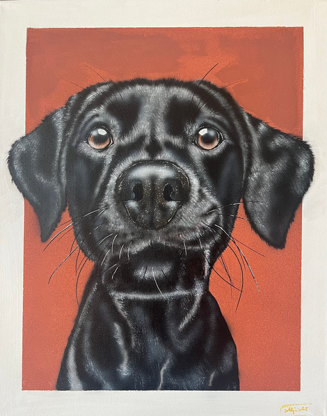 Le chien