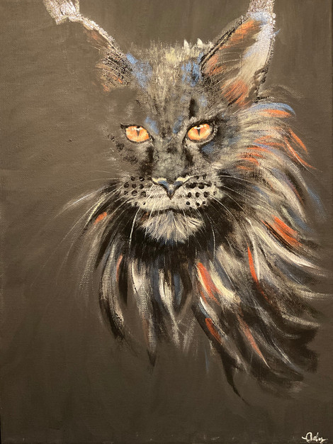 Chat dark