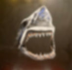 Thumbnail: dark shark