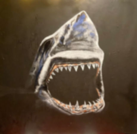 dark shark