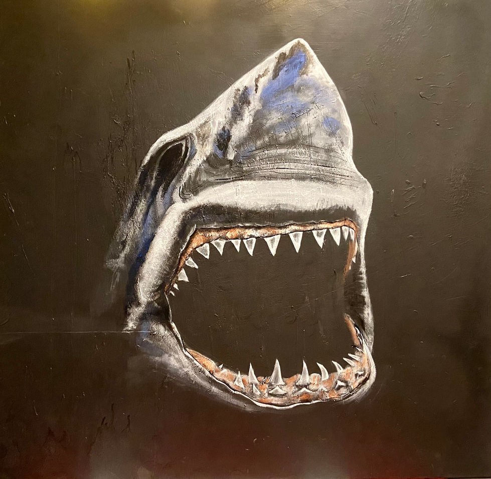 Requin dark