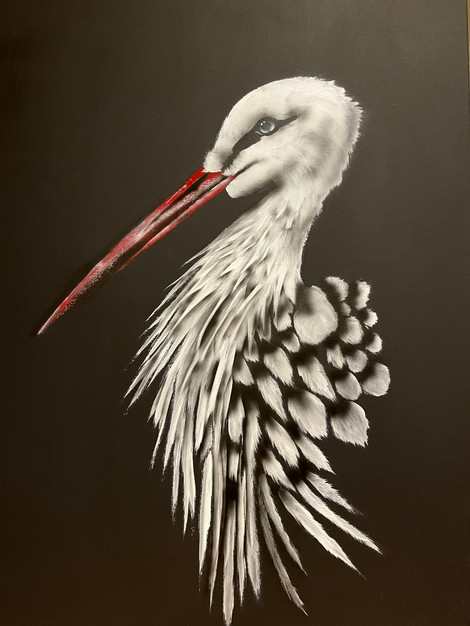La cigogne