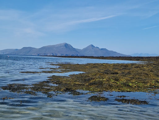 What's August Really like in the Scottish Highlands