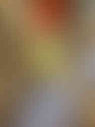 Sunshine on the Menu at Applecross Walled Garde, Wester Ross, Scottish Highlands