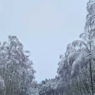 With the Dawn of Redeeming Grace