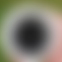 A Season for Everything