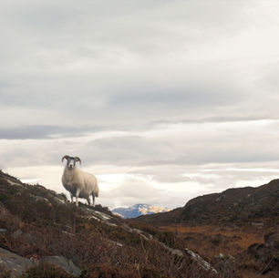 How to Spend Two Days on the Isle of Skye (the Alternative One) 