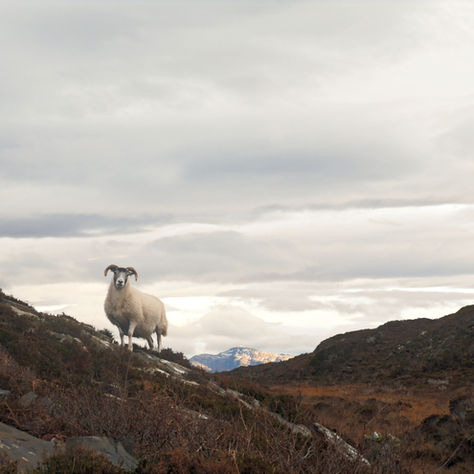 How to Spend Two Days on the Isle of Skye (the Alternative One) 