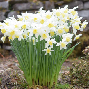 What Easter Means to Me