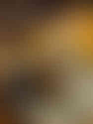 Burnt Basque Cheesecake, The Dunvegan, Isle of Skye