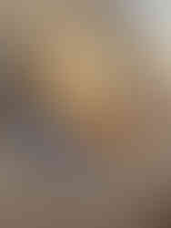 Flat White at Applecross Walled Garden, Wester Ross, Scottish Highlands