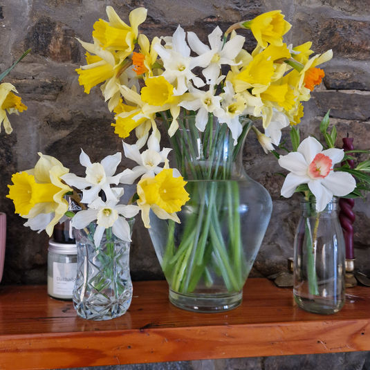 What's March Really Like in the Scottish Highlands