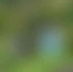 Princess and Frog Scarecrow, Seil Scarecrow Festival, Slate Islands, Argyll