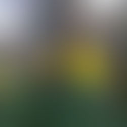 Seeing the Change in Myself