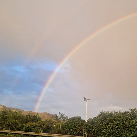 Jesus' Promise to Stay 