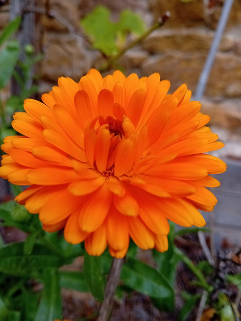 20241031_113630.jpg