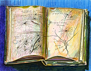 This is a drawing by artist Dawn Hunter of Cajal's first sketchbook from Valencia and it is open to the pages where he drew neurons for the first time.