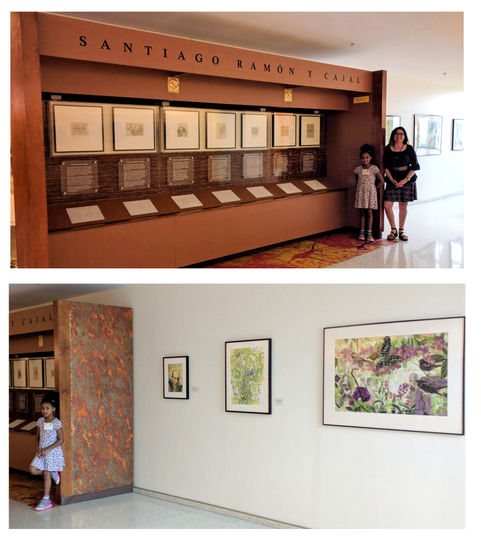 This is a photo of artist Dawn Hunter and her daughter Darcy at the NIH exhibition of Cajal's drawings.