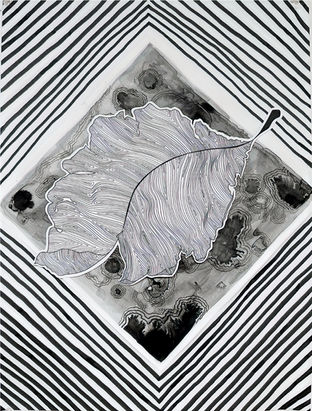 This is a drawing of a leaf. There is descriptive texture on the surface of the leaf and bold black and white lines surrounding it creating a diamond.